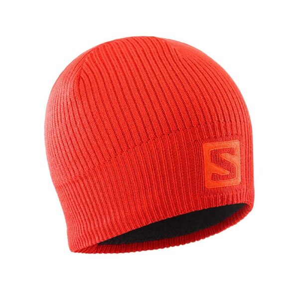 Gorro Beanie Unisex Logo Salomon
